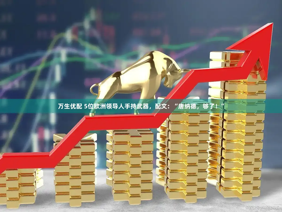 万生优配 5位欧洲领导人手持武器，配文：“唐纳德，够了！”