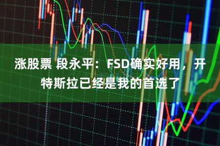 涨股票 段永平：FSD确实好用，开特斯拉已经是我的首选了