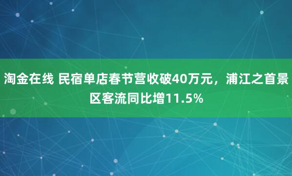 淘金在线 民宿单店春节营收破40万元，浦江之首景区客流同比增11.5%
