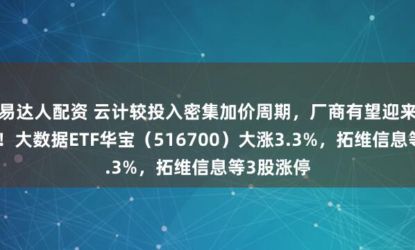 易达人配资 云计较投入密集加价周期，厂商有望迎来估值重构！大数据ETF华宝（516700）大涨3.3%，拓维信息等3股涨停