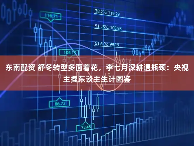 东南配资 舒冬转型多面着花，李七月深耕遇瓶颈：央视主捏东谈主生计图鉴
