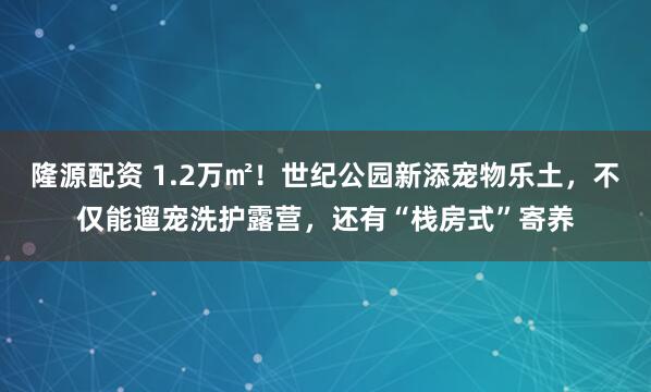 隆源配资 1.2万㎡！世纪公园新添宠物乐土，不仅能遛宠洗护露营，还有“栈房式”寄养