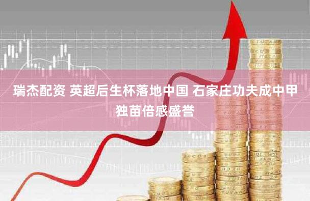 瑞杰配资 英超后生杯落地中国 石家庄功夫成中甲独苗倍感盛誉