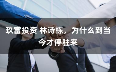 玖富投资 林诗栋，为什么到当今才停驻来