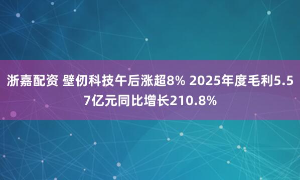 浙嘉配资 壁仞科技午后涨超8% 2025年度毛利5.57亿元同比增长210.8%