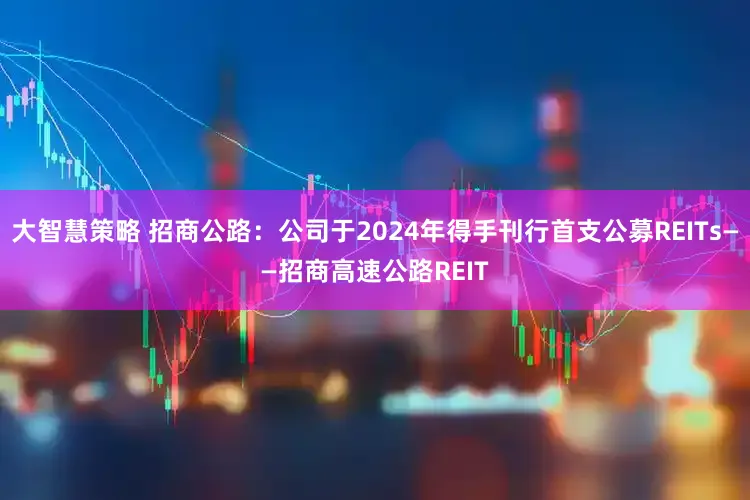 大智慧策略 招商公路：公司于2024年得手刊行首支公募REITs——招商高速公路REIT