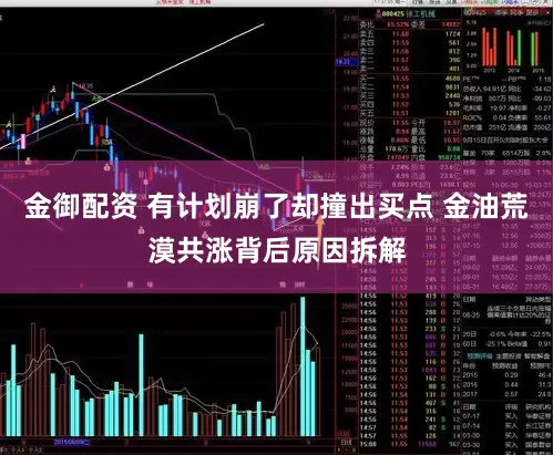金御配资 有计划崩了却撞出买点 金油荒漠共涨背后原因拆解
